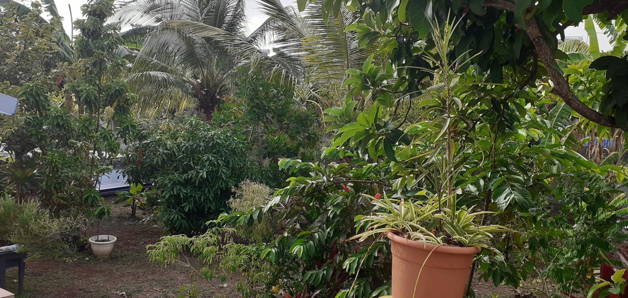 Le P'Tit Nid Cocodydy Apartment Baillif Luaran gambar